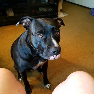 Meet your Posher, Kathy